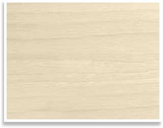 SandbrushCloseup300WShdw